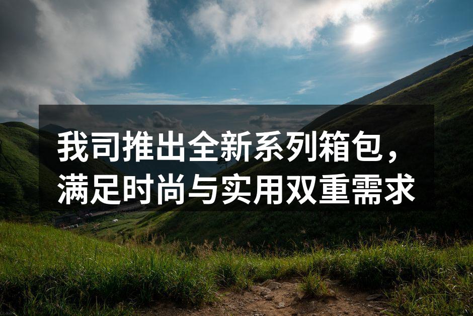 我司推出全新系列箱包，满足时尚与实用双重