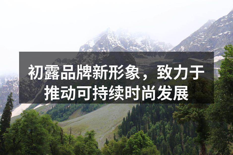 初露品牌全新产品展示